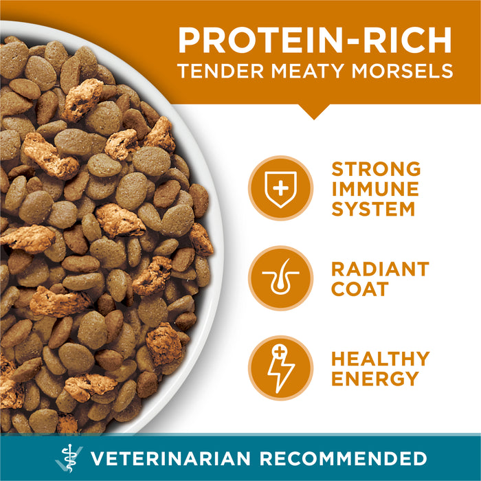 Purina ONE Tender Selects Blend With Real Chicken Adult Dry Cat Food, 7 lb
