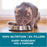 Purina ONE Tender Selects Blend With Real Chicken Adult Dry Cat Food, 7 lb