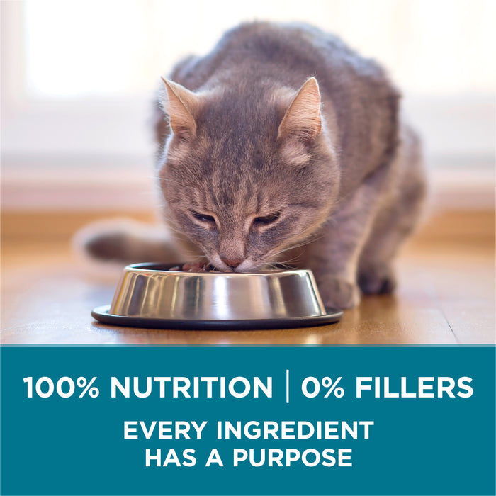 Purina ONE Tender Selects Blend With Real Chicken Adult Dry Cat Food, 7 lb