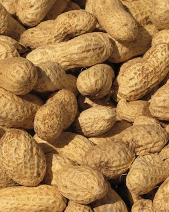 Scarlett Peanuts In Shell 2lbs