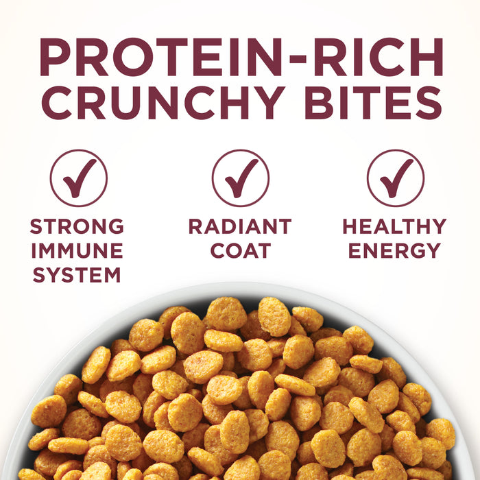 Purina ONE Special Care Urinary Health Cat Food 7 lb Bag