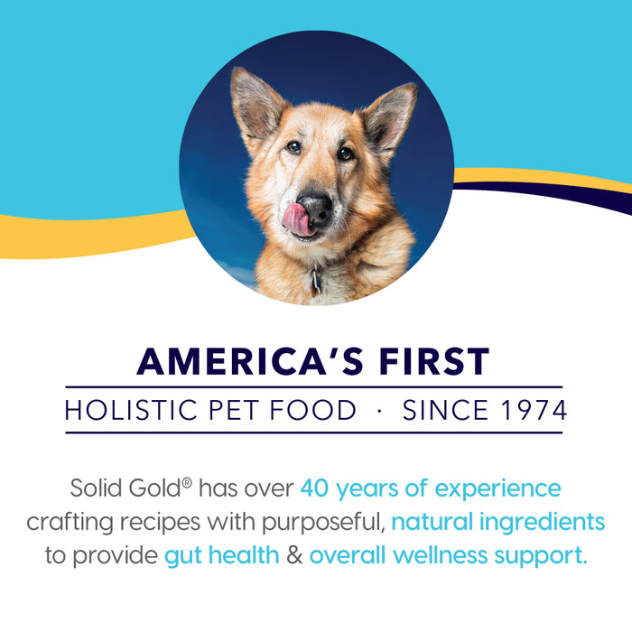 Solid Gold Holistique Blendz Adult Dry Dog Food