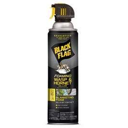 Black Flag Wasp & Hornet Foaming Aerosol - 14 oz
