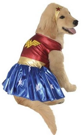 Rubies Pet Shop Wonder Woman Dog Costume