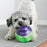 KONG Babbler Motion Activated Babbling Dog Toy