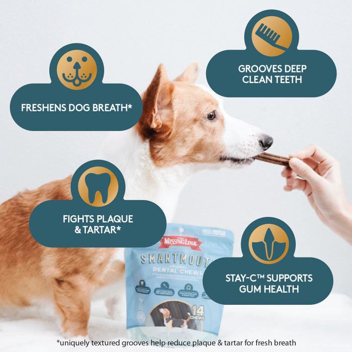 The Missing Link Smartmouth Dental Chews