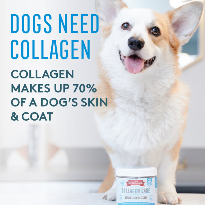 The Missing Link Collagen Care Skin & Coat Soft Chews