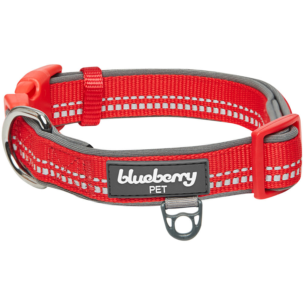 Blueberry Pet Soft & Comfy 3M Red Reflective Padded Dog Collar