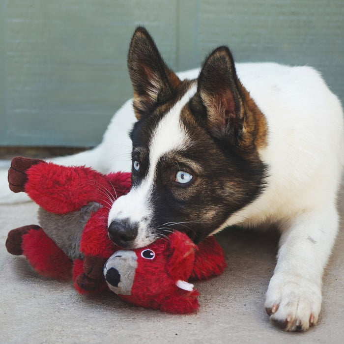 KONG Shakers Passports Red Squirrel Dog Toy