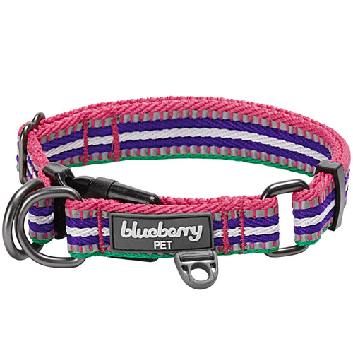 Blueberry Pet 3M Reflective Stripe Adjustable Dog Collar