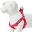 Blueberry Pet Step-in Adjustable Dog Harness, Lust Red with Velvety Heart Flocking