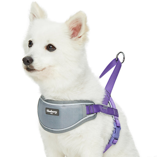 Blueberry Soft & Comfy 3M Reflective Strips Padded Purple Dog Harness Vest