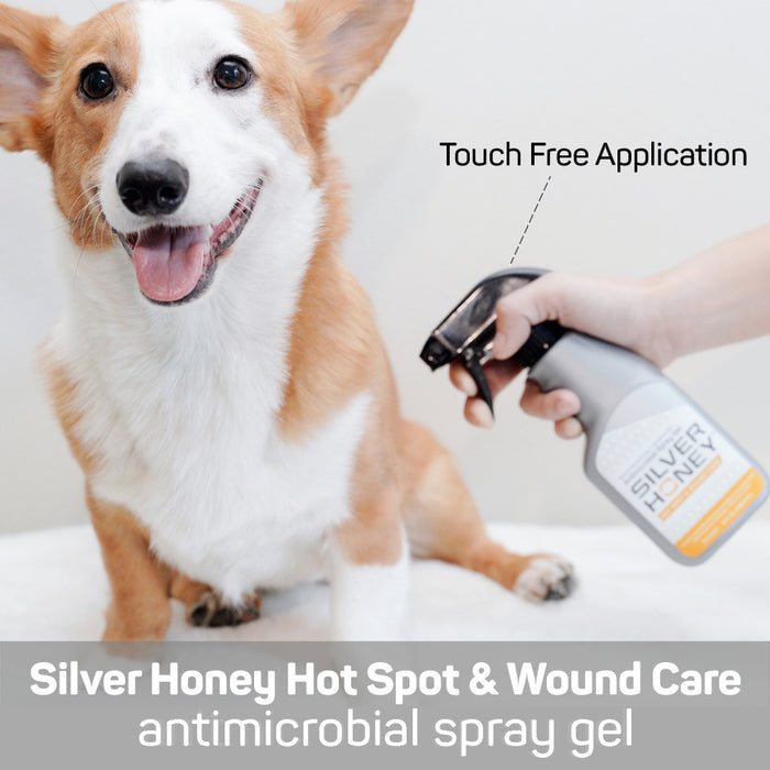 The Missing Link Silver Honey Hot Spot & Wound Care Spray Gel