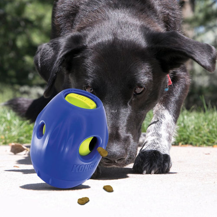 KONG Tikr Dog Toy