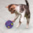 KONG Bat-A-Bout Flicker Disco Cat Toy