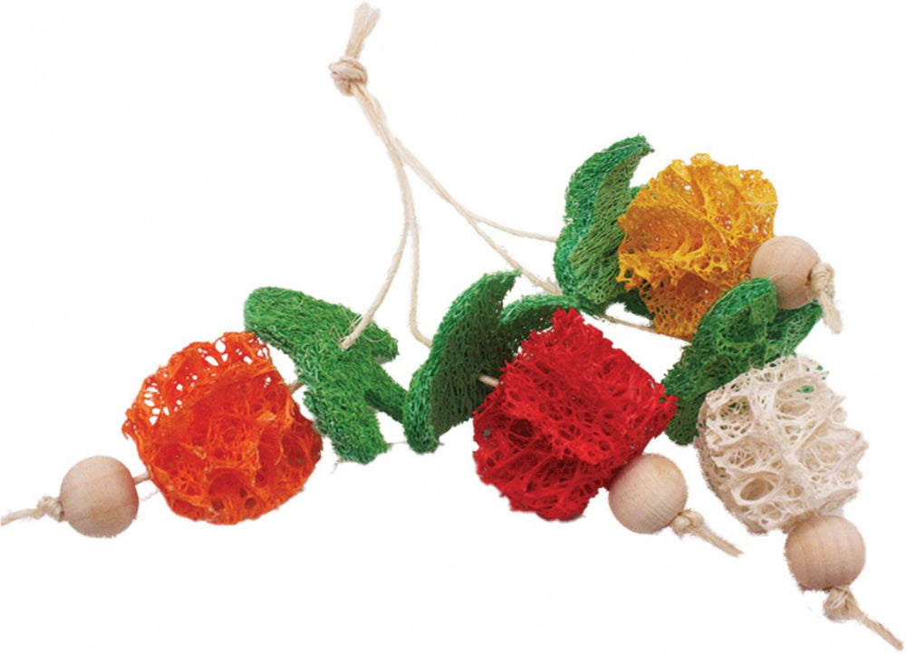 A & E Nibbles Loofah Bunch Fruit Small Animal Toy