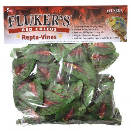 Fluker's Repta Vines Red Coleus