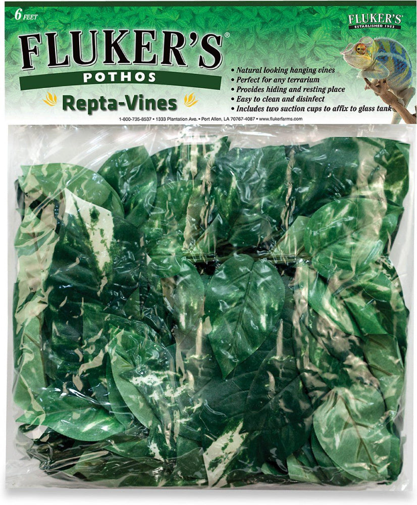 Fluker's Repta Vines Pothos