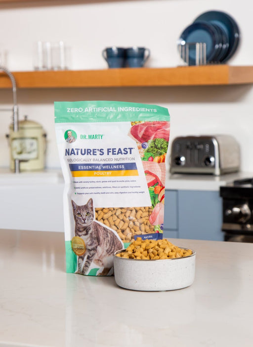 Dr. Marty Nature's Feast Essential WellnessPoultry Freeze Dried Raw Cat Food