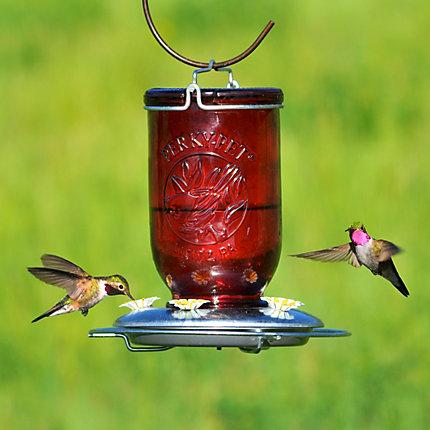 Perky-Pet® Red Mason Jar Glass Hummingbird Feeder - 32 oz Nectar Capacity