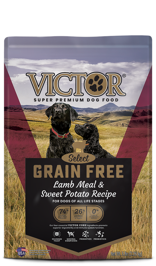 Victor Grain Free Lamb Meal & Sweet Potato Recipe
