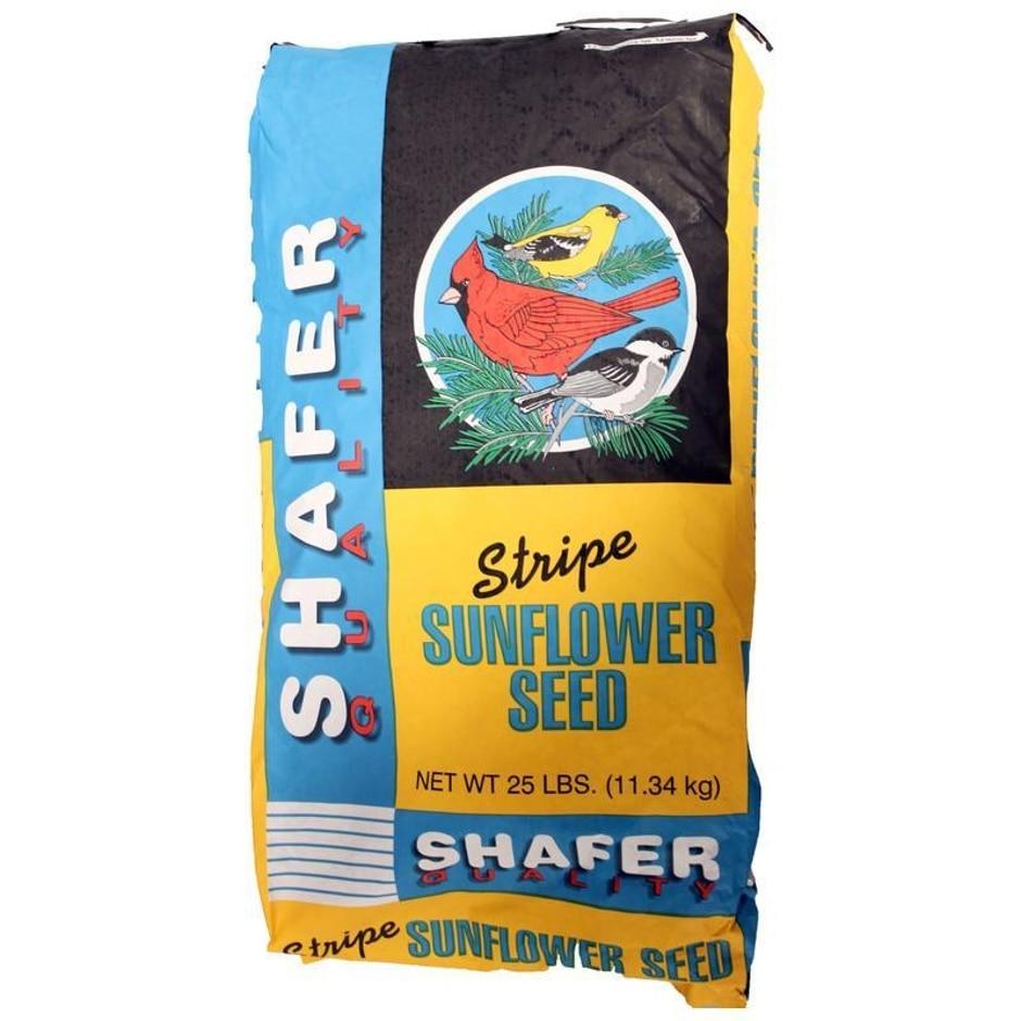 GENERIC STRIPED SUNFLOWER SEED