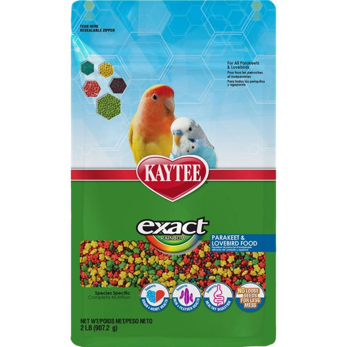 EXACT RAINBOW PARAKEET/ LOVEBIRD