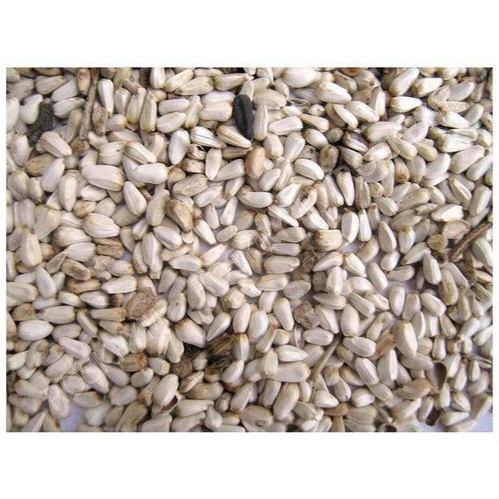 GENERIC SAFFLOWER SEED 25Lb Bag