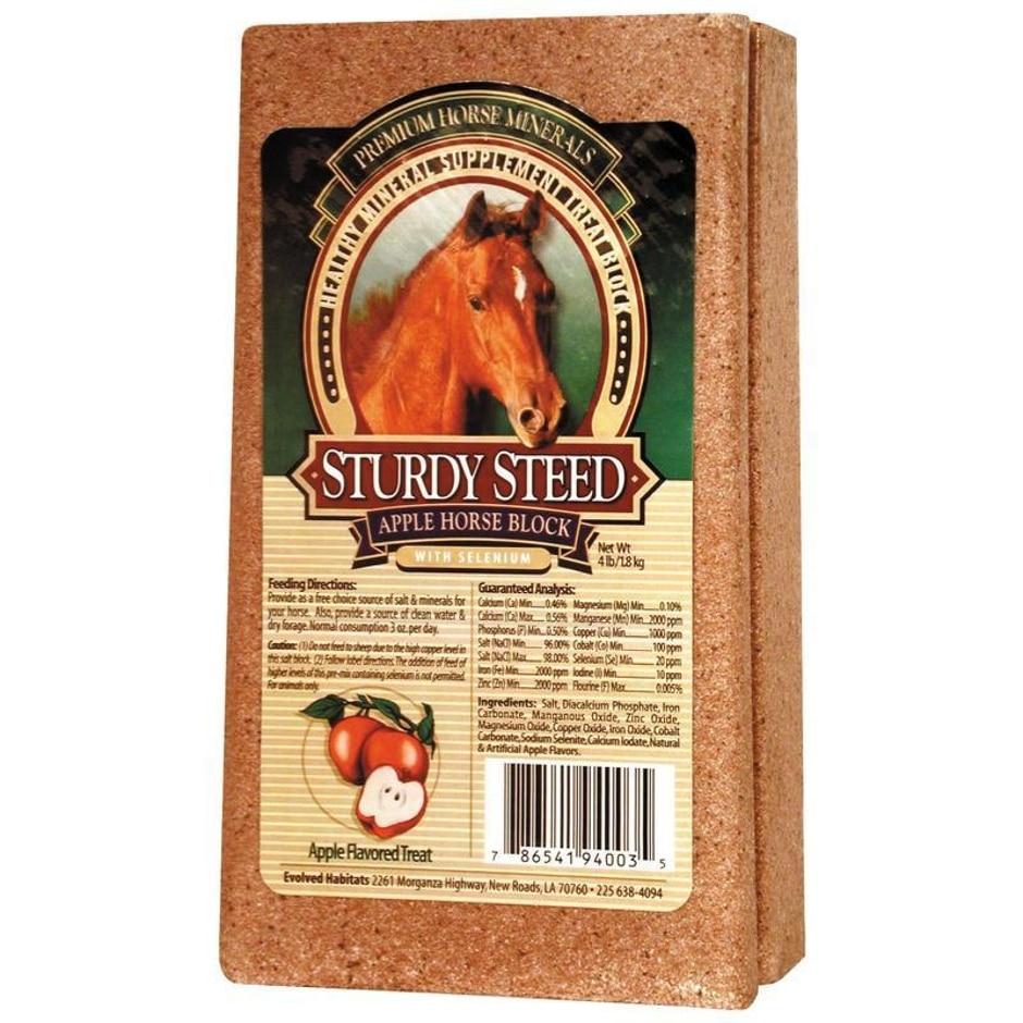 EVOLVED STURDY STEED HORSE SALT BLOCK